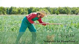  Presentation with orchard - Colorful PPT layouts enhanced with farmer man working in onion orchard field with hoe tool backdrop and a seafoam green colored foreground