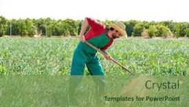  Presentation with orchard - Colorful PPT layouts enhanced with farmer man working in onion orchard field with hoe tool backdrop and a seafoam green colored foreground