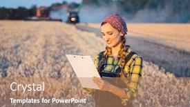  Presentation with harvest - PPT layouts enhanced with farmer-on-a-field-during background and a coral colored foreground