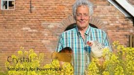  Presentation with baby chickens little cute chicks - Slide set consisting of farmer-outdoor-is-carrying-chickens background and a gold colored foreground