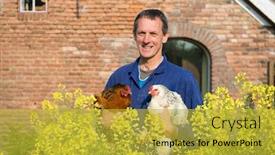 Presentation with baby chickens little cute chicks - Slide deck having farmer-outdoor-is-carrying-chickens background and a yellow colored foreground