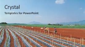  Presentation with plowing - Colorful slide set enhanced with farmer plowing his field backdrop and a light blue colored foreground