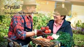  Presentation with vegetables - Theme consisting of farmer protection - senior couple with a basket background and a yellow colored foreground
