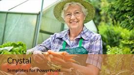  Presentation with greenhouse - Colorful PPT layouts enhanced with farmer protection - senior woman with a basket backdrop and a coral colored foreground