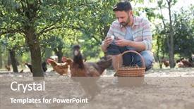  Presentation with organic - PPT layouts having his farm whilst his free background and a gray colored foreground