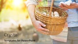  Presentation with farm - Colorful presentation design enhanced with farmer putting organic eggs in a brown basket on his farm backdrop and a coral colored foreground