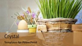  Presentation with farm food - Cool new presentation theme with farmer s hen egg fresh backdrop and a coral colored foreground