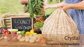  Presentation with organic - Theme consisting of farmer selling his organic produce on a sunny day background and a coral colored foreground
