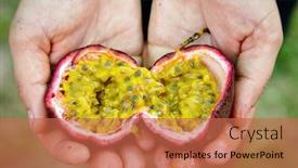 Presentation with passion fruit - Presentation theme enhanced with farmer showing fresh ripe passion fruit background and a red colored foreground