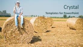  Presentation with hay field - PPT theme consisting of farmer sitting on an hay background and a lemonade colored foreground
