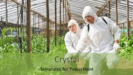  Presentation with pesticide - Presentation design featuring farmer-spraying-pesticide-or-fertilizer background and a yellow colored foreground