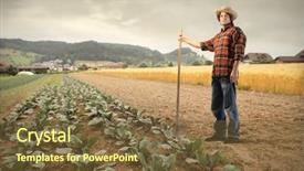 Presentation with vegetables - Presentation theme enhanced with farmer standing beside a vegetables background and a tawny brown colored foreground