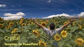  Presentation with spread - Presentation theme with farmer standing in a sunflower field with his arms spread background and a tawny brown colored foreground