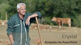  Presentation with poultry farm biology - Cool new slide set with farmer-standing-in-poultry-yard backdrop and a coral colored foreground