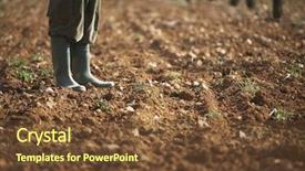  Presentation with farm - Colorful presentation theme enhanced with farmer standing on fertile backdrop and a tawny brown colored foreground