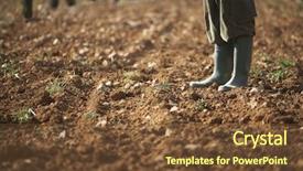  Presentation with farm - PPT theme featuring farmer standing on fertile background and a tawny brown colored foreground