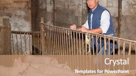  Presentation with pig farm - Slide deck featuring farmer stood with pigs background and a  colored foreground