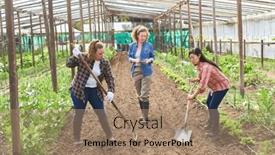  Presentation with coworkers - Presentation enhanced with farmer-supervising-female-coworkers-working background and a  colored foreground