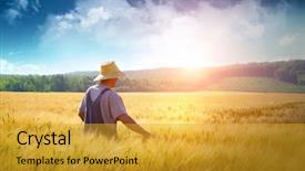  Presentation with land - Cool new presentation with farmer walking through a golden backdrop and a gold colored foreground