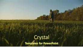  Presentation with human person - Slides featuring farmer-walks-through-a-young and a  colored foreground