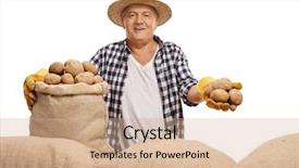  Presentation with chicken poultry farm white layer - Slides featuring farmer with a burlap sack background and a coral colored foreground