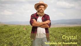  Presentation with grapevine - Slides enhanced with farmer-with-a-straw-hat background and a tawny brown colored foreground
