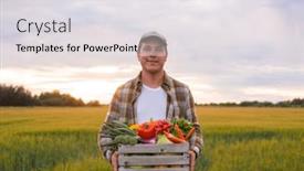  Presentation with farming - Presentation theme featuring farmer-with-a-vegetable-box background and a light gray colored foreground