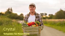  Presentation with farming - Slide set consisting of farmer-with-a-vegetable-box background and a tawny brown colored foreground