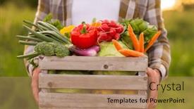  Presentation with farming - Presentation consisting of farmer-with-a-vegetable-box background and a coral colored foreground