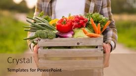  Presentation with farming - Presentation consisting of farmer-with-a-vegetable-box background and a coral colored foreground
