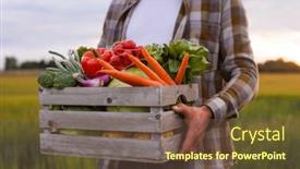  Presentation with farming - PPT theme consisting of farmer-with-a-vegetable-box background and a tawny brown colored foreground