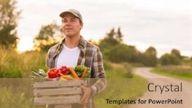  Presentation with agricultural - Presentation theme with farmer-with-a-vegetable-box background and a coral colored foreground