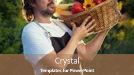  Presentation with beds - PPT theme consisting of farmer with an ecological harvest of vegetables in a basket near the garden beds in summer background and a coral colored foreground