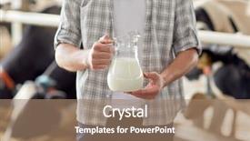  Presentation with milk dairy agriculture industry farming - Beautiful slides featuring husbandary - agriculture industry farming people backdrop and a coral colored foreground