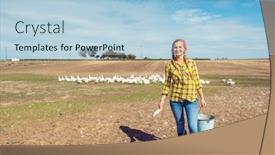  Presentation with poultry farm - Beautiful PPT layouts featuring farmer-with-her-geese backdrop and a light blue colored foreground