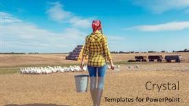  Presentation with poultry farm - PPT layouts featuring farmer-with-her-geese background and a coral colored foreground