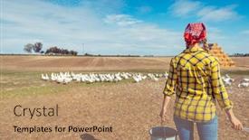  Presentation with poultry farm - Amazing theme having farmer-with-her-geese backdrop and a coral colored foreground