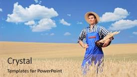  Presentation with wheat - Colorful slide set enhanced with farmer with panama hat posing in a wheat field backdrop and a lemonade colored foreground