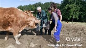  Presentation with apprentice - Amazing presentation having farmer-with-young-apprentice-feeding backdrop and a gray colored foreground