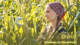  Presentation with maize - Audience pleasing slide set consisting of woman checks out her maize backdrop and a tawny brown colored foreground