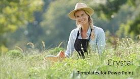  Presentation with agricultural - Slide deck featuring farmer woman working in agricultural organic field background and a mint green colored foreground