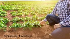 Presentation with crops - Presentation design featuring farmer-working-in-cultivated-field background and a coral colored foreground