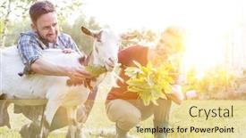  Presentation with flare - Presentation design consisting of farmers-feeding-goat-in-field background and a lemonade colored foreground