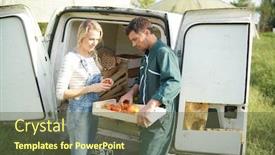 Presentation with loading - Amazing presentation having farmers loading truck of vegetables for market backdrop and a tawny brown colored foreground
