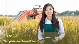  Presentation with medicina tradicional chinesa chinese herb - Presentation theme with farmers network - young chinese woman agonomist background and a tawny brown colored foreground