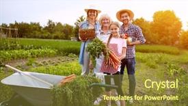  Presentation with fresh fruits and vegetables - Amazing PPT theme having farmers with freshly picked vegetables backdrop and a tawny brown colored foreground