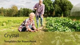  Presentation with agriculture planting - Audience pleasing slide deck consisting of farming gardening agriculture and people backdrop and a gold colored foreground