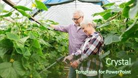  Presentation with agriculture cucumber - Presentation theme enhanced with farming gardening agriculture and people background and a tawny brown colored foreground
