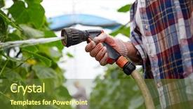  Presentation with agriculture cucumber - PPT layouts with farming gardening agriculture and people background and a tawny brown colored foreground