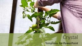  Presentation with agriculture greenhouse - 